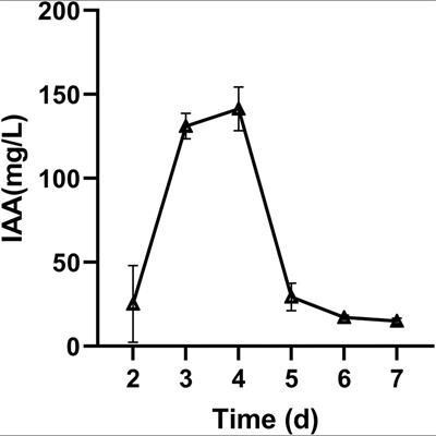 Regulating Root Fungal Community Using Mortierella alpina for Fusarium oxysporum Resistance in Panax ginseng